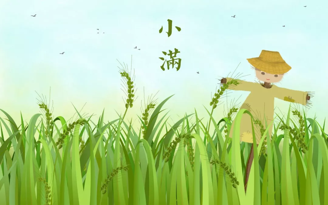 小满古诗有哪些（最经典的18首小满诗词） 第7张