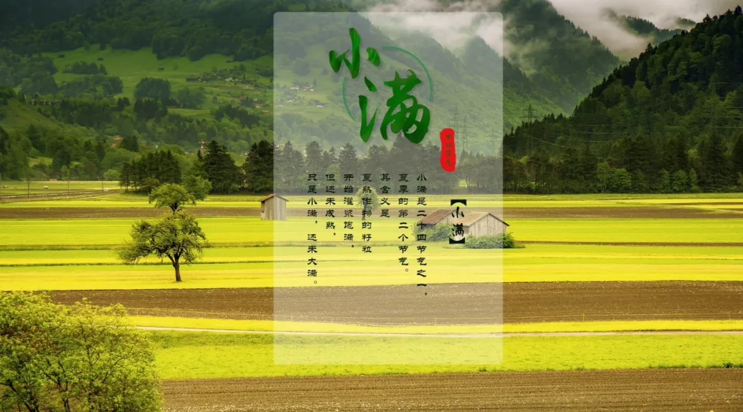 小满古诗有哪些（最经典的18首小满诗词） 第9张