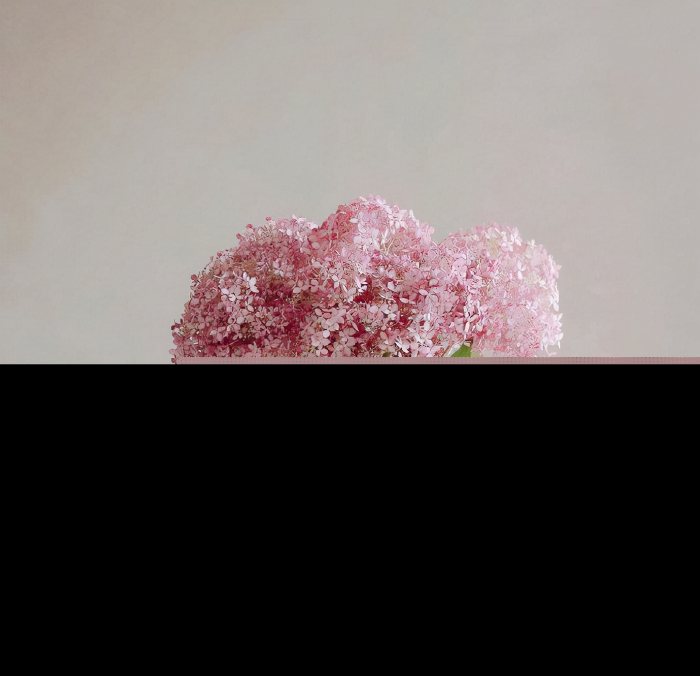 乐观的名言名句（乐观心态的正能量句子） 第5张