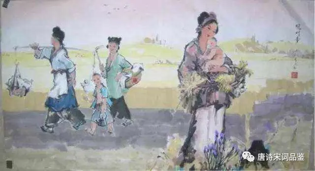 观刈麦白居易赏析（观刈麦古诗原文及翻译） 第1张