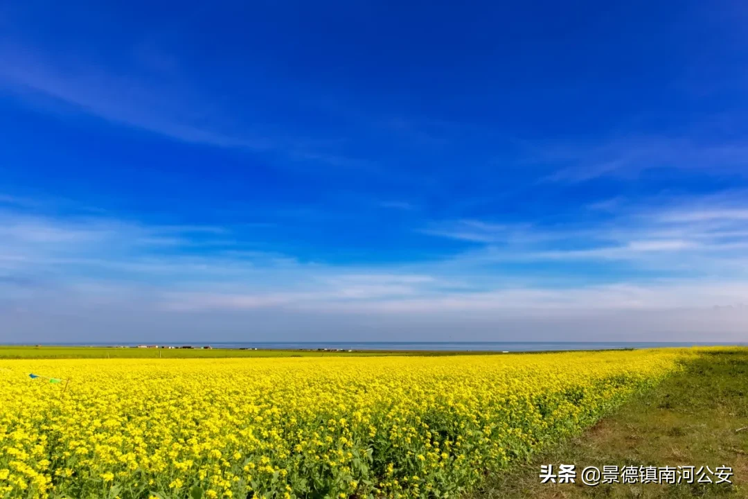 描写乡村生活的古诗（感受乡村气息句子） 第5张
