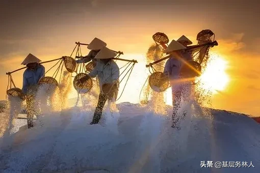 赞美劳动精神的古诗词有哪些（赞美劳动的诗句或名言） 第5张