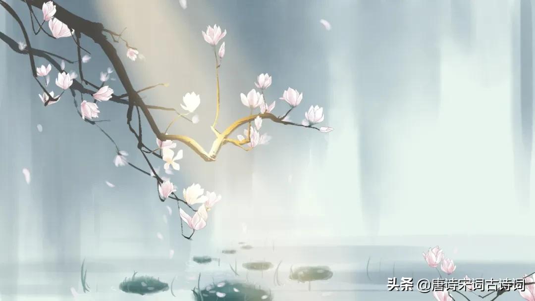 春风诗句大全集（描写春风的优美句子） 第1张
