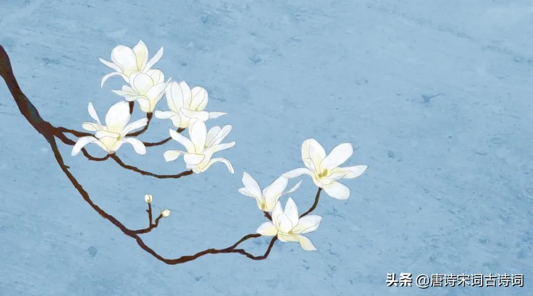 春风诗句大全集（描写春风的优美句子） 第3张