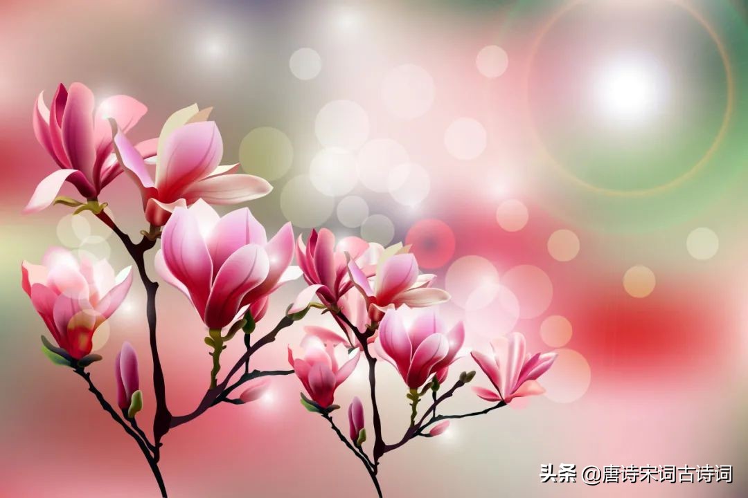 春风诗句大全集（描写春风的优美句子） 第5张