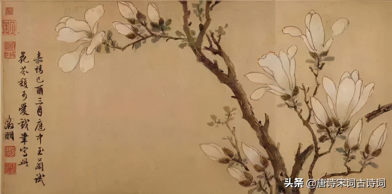 春风诗句大全集（描写春风的优美句子） 第7张