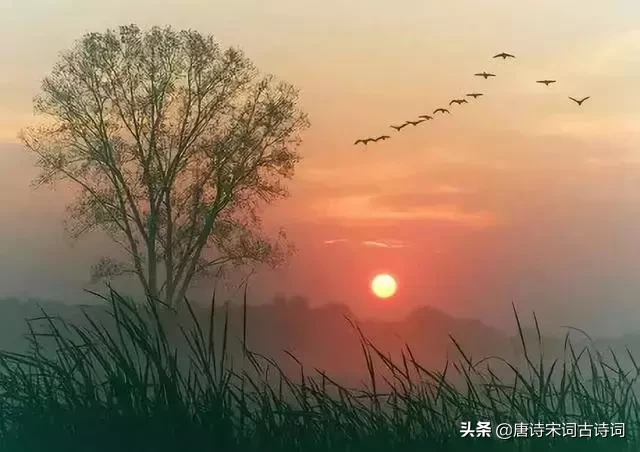 夕阳的诗句有哪些（夕阳西下的唯美句子诗句） 第1张