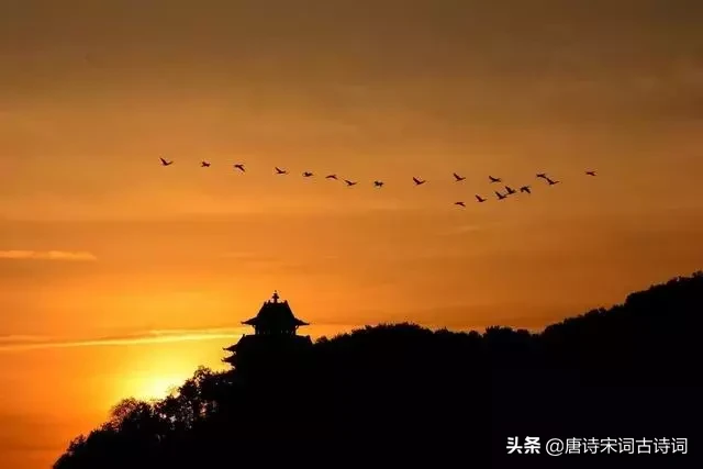 夕阳的诗句有哪些（夕阳西下的唯美句子诗句） 第3张