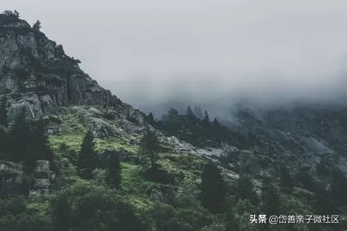 杜甫的诗句有哪些（杜甫最著名的10首诗） 第7张