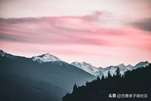 杜甫的诗句有哪些（杜甫最著名的10首诗） 第9张