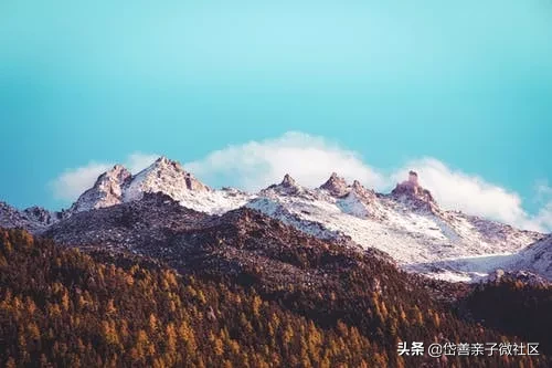 杜甫的诗句有哪些（杜甫最著名的10首诗） 第11张