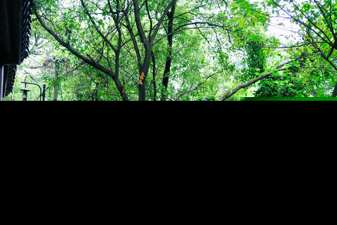励志的古诗词名句大全（经典励志诗词名句大全） 第3张