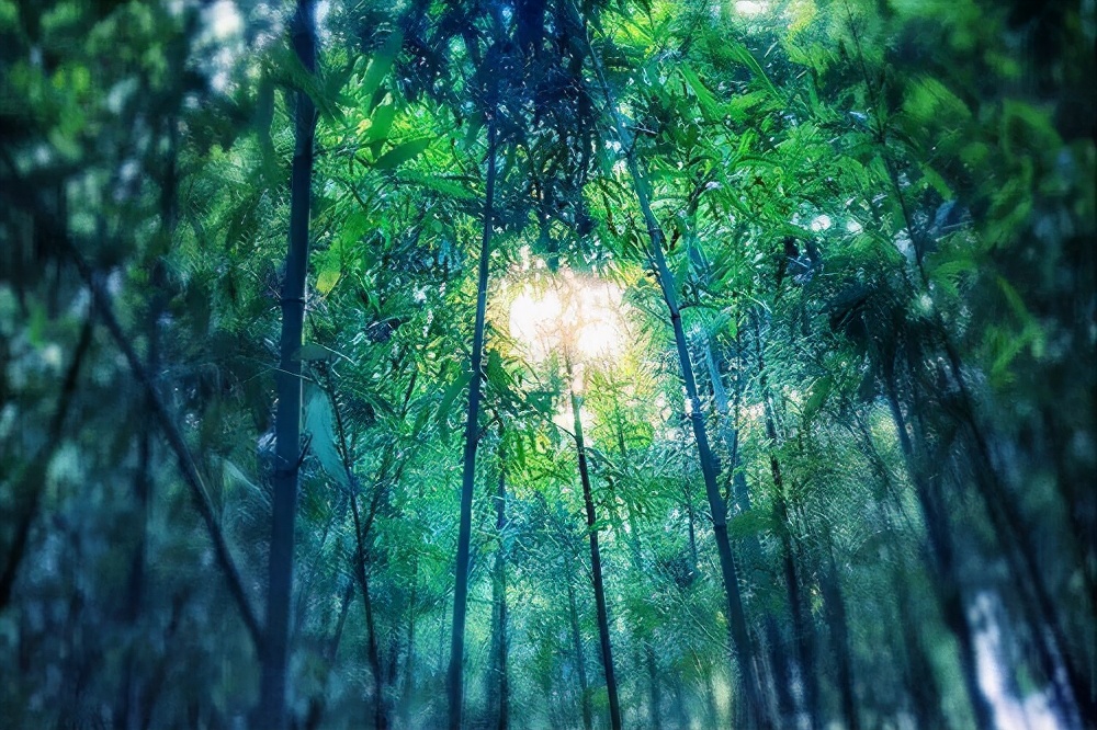 形容夏天的诗句唯美（描写夏风的诗句唯美） 第3张