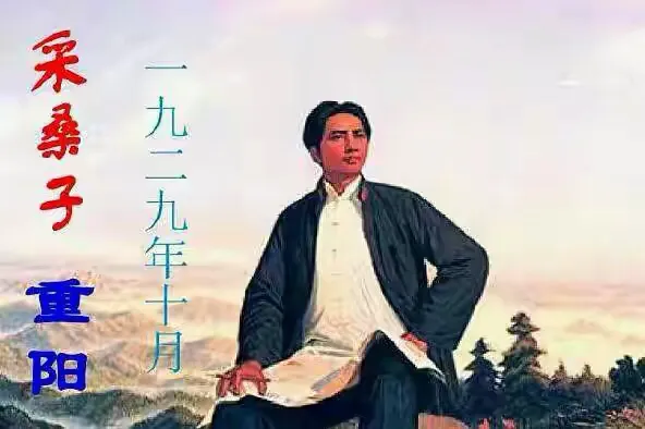 采桑子重阳原文（采桑子重阳古诗欣赏） 第3张