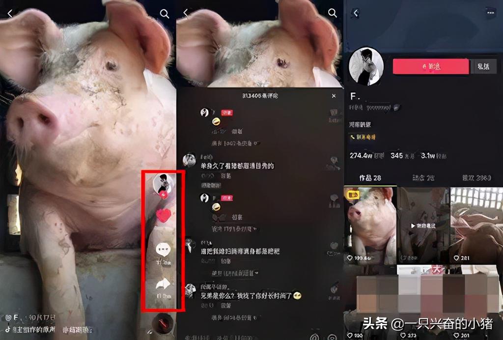 狂薅抖音免费流量之卡直播间广场 第3张
