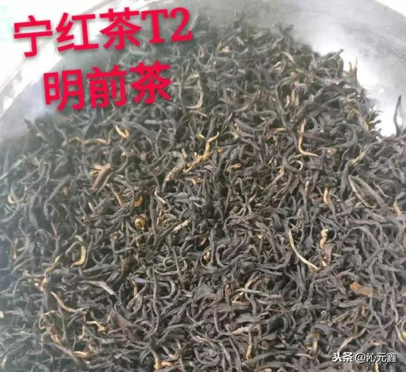 茶盖中华，价甲天下——宁红茶 第7张