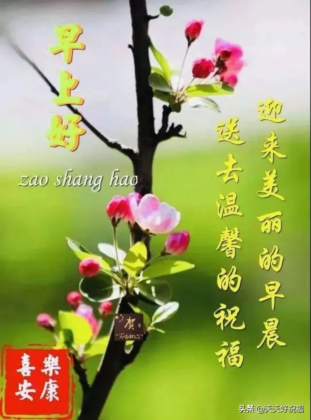 祝福语大全简短赞美（美好祝愿的简短句子） 第1张