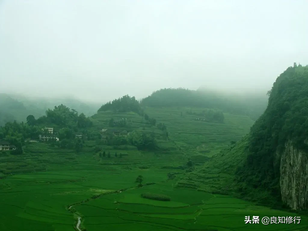 王维的代表作有哪些（王维最著名古诗20首） 第5张