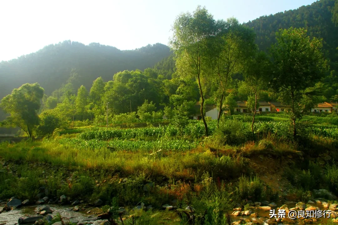 王维的代表作有哪些（王维最著名古诗20首） 第11张