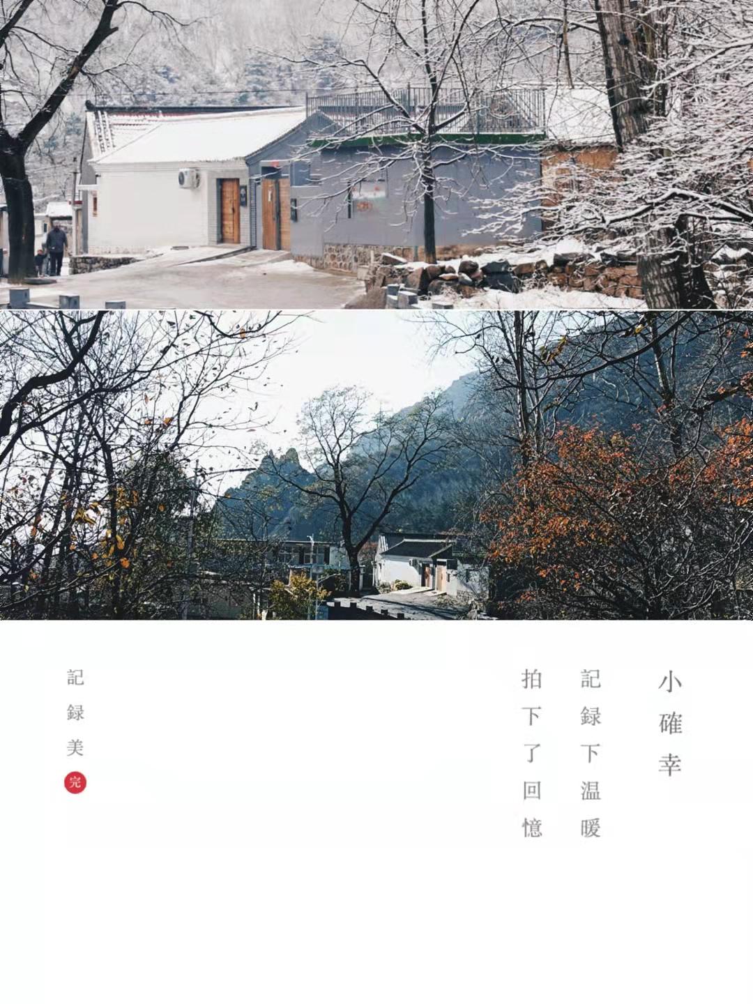 与雪有关的诗句有哪些（关于雪的优美句子） 第33张