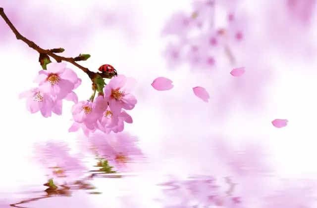 唐伯虎诗集大全（唐伯虎最经典的五首诗） 第1张