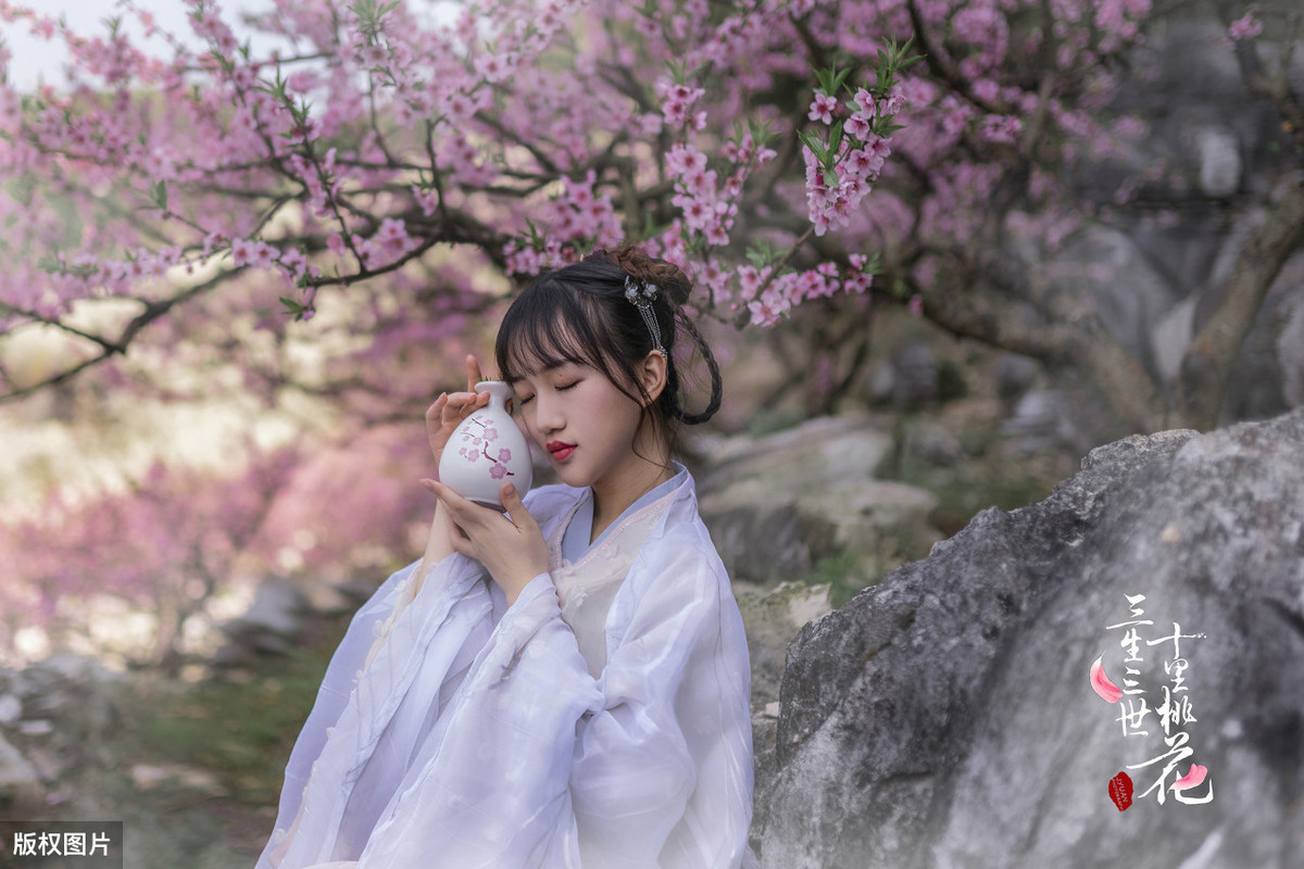 唐伯虎诗集大全（唐伯虎最经典的五首诗） 第3张