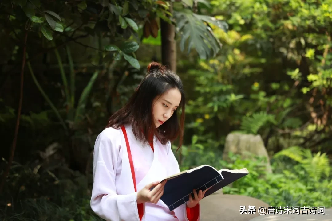 冬夜读书示子聿的诗句（冬夜读书示子聿译文及注释） 第1张