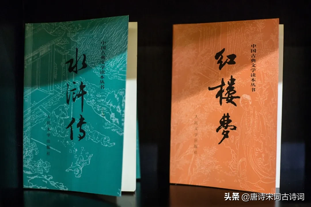 冬夜读书示子聿的诗句（冬夜读书示子聿译文及注释） 第9张