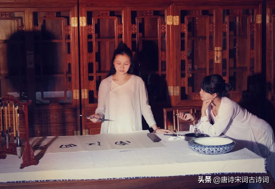 冬夜读书示子聿的诗句（冬夜读书示子聿译文及注释） 第11张