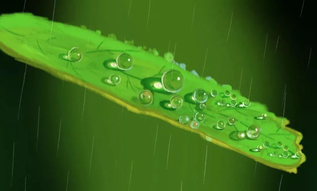 写雨的诗句古诗（关于雨的诗句分享） 第7张
