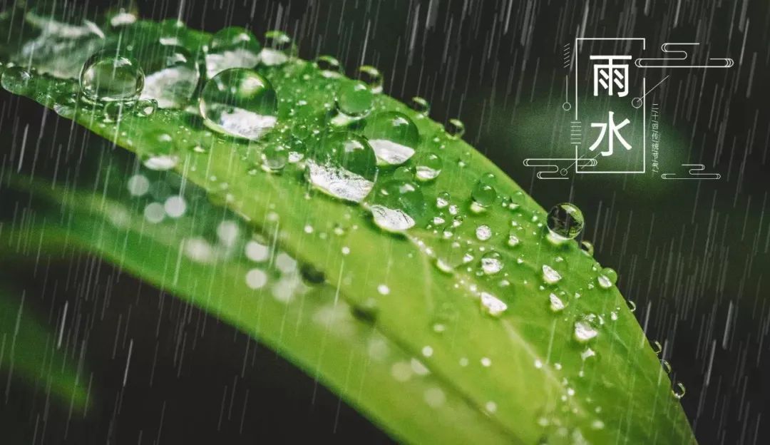 写雨的诗句古诗（关于雨的诗句分享） 第15张