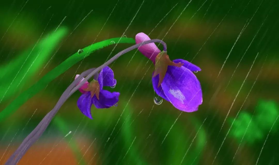 写雨的诗句古诗（关于雨的诗句分享） 第19张