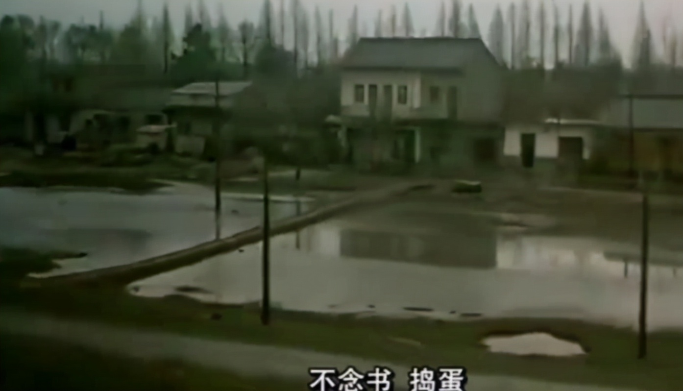 成龙复杂的原生家庭：俩哥哥同父异母，俩姐姐同母异父，亲疏有别 第7张