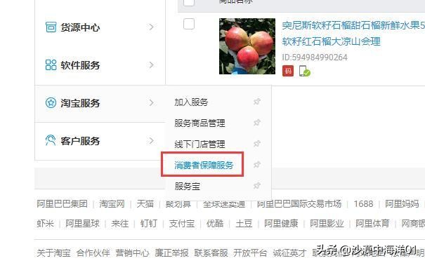 卖家如何开通消费者保障服务？ 第3张