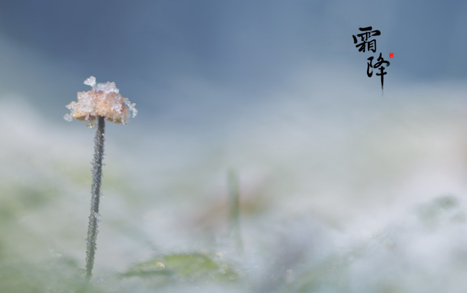霜降句子迷佳句欣赏（有关霜降的优美句子） 第31张