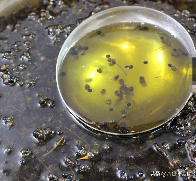 四川凉菜的做法（四川凉菜哪里学比较正宗） 第7张