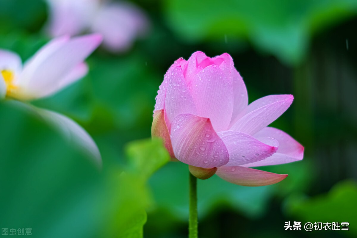 二十四节气立秋古诗（立春古诗词大全 ） 第3张