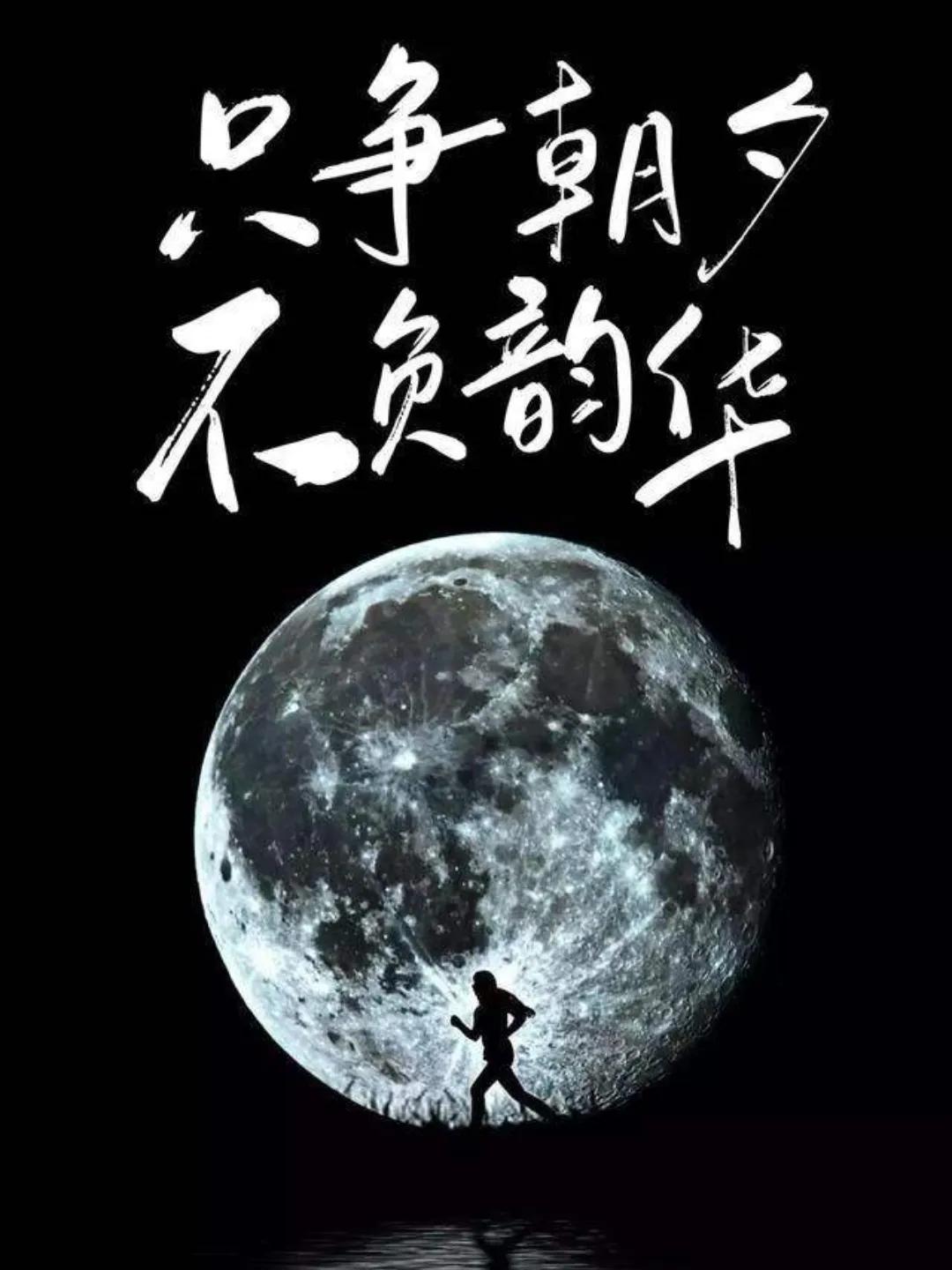 不负韶华的励志句子（表示未来可期的诗句） 第15张