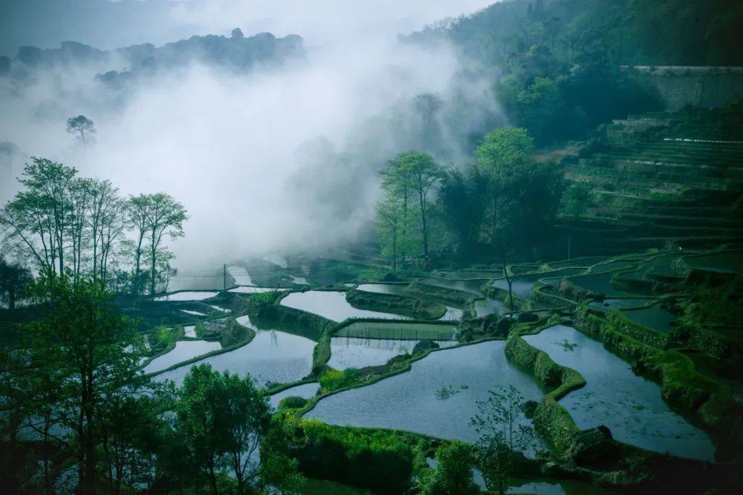 关于山水的诗句佳句（寓意好的山水诗词佳句） 第3张
