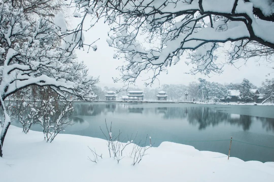 关于雪的优美诗句（赞美雪景的古诗句） 第3张