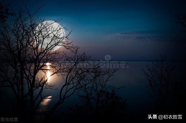 写月亮的诗句有哪些（描写月亮的唯美诗句） 第3张