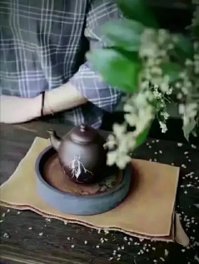 关于友情的现代诗歌（歌颂友谊的现代诗） 第1张