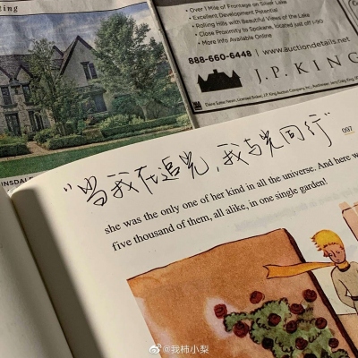 校园风景文案短句（校园文案短句干净治愈） 第5张