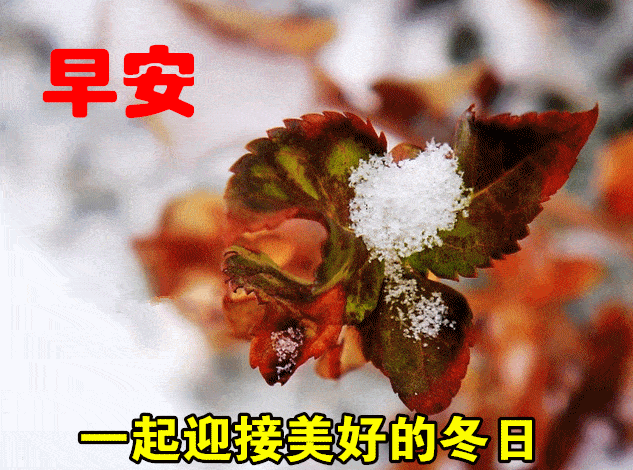 立冬祝福有些什么（秋日暖阳的优美短句） 第3张