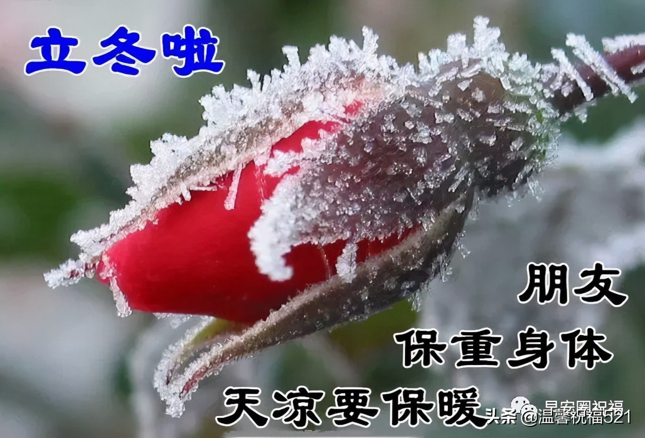立冬祝福有些什么（秋日暖阳的优美短句） 第7张