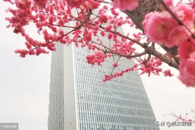 咏梅的诗句古诗大全（寒梅傲骨经典句子） 第19张