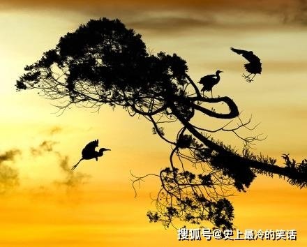 形容晚霞的诗句有哪些（赞美日落晚霞的诗句） 第9张