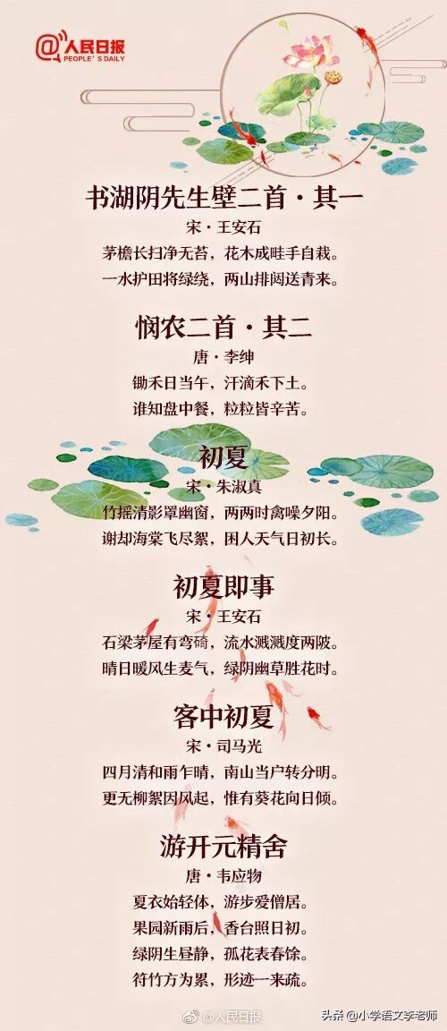夏天的诗句有哪些（夏天的古诗大全） 第7张