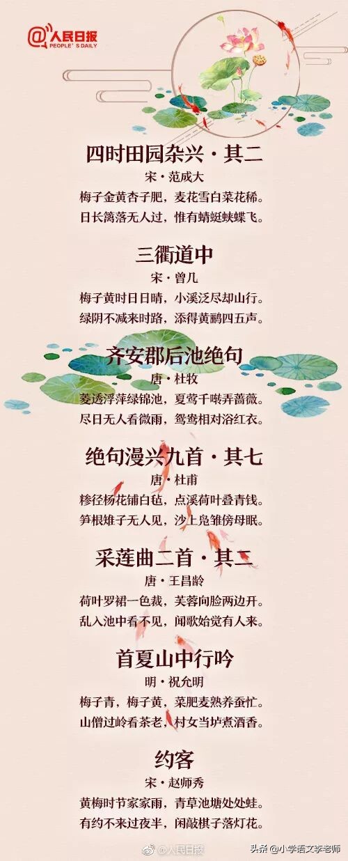 夏天的诗句有哪些（夏天的古诗大全） 第11张