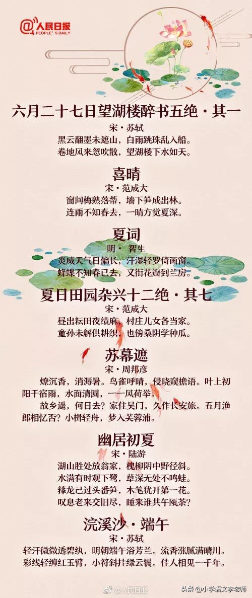 夏天的诗句有哪些（夏天的古诗大全） 第19张